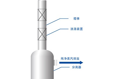 蒸汽洗涤塔厂家-青岛公海彩船